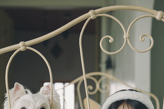 浜辺美波、愛犬と巡る2026年カレンダーが発売決定！25歳の今だから表現できる“大人っぽい表情”も 画像