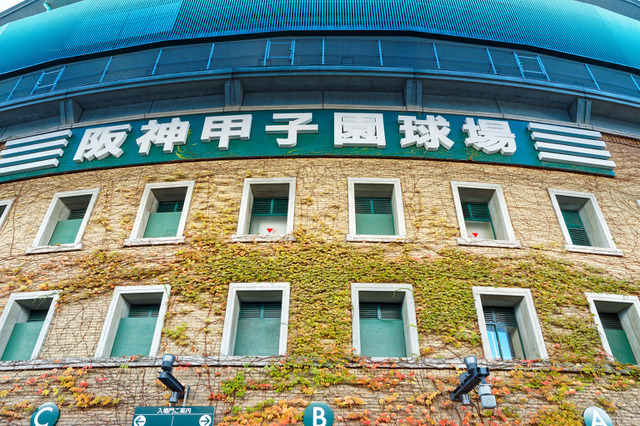 春のセンバツ甲子園2026、出場校32校が決定！初出場は帝京長岡・高知農 画像