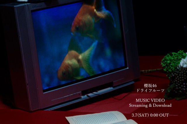 櫻坂46、村山美羽センターの新曲『ドライフルーツ』7日にMV＆先行配信決定！ 画像