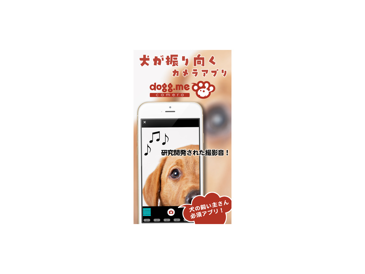 迷子犬を探せる顔認証機能 愛犬をカメラ目線で撮影できるアプリ Dogg Meカメラ に追加 Rbb Today