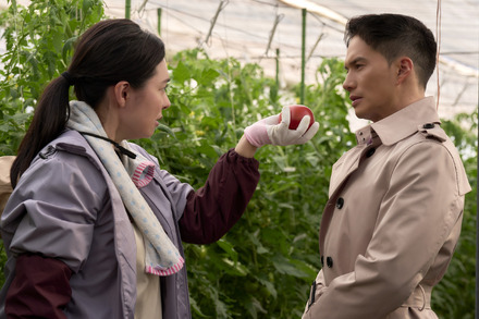 映画『正直不動産』場面写真©大谷アキラ・夏原武・水野光博/小学館 ©2026 映画『正直不動産』製作委員会