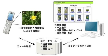 生物多様性調査の概要