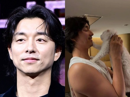 「自分と似ていて好きだったけど…」『トッケビ』俳優コン・ユ、愛猫を見送る 思い出の写真を共有