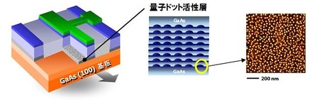 高密度配列した量子ドットを活性層にもつ量子ドットレーザー