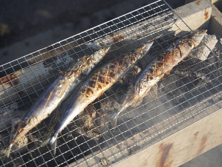 第41回「さんま祭り」