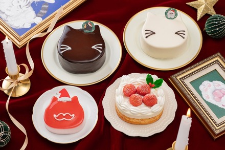 ねこねこのクリスマスケーキ全4品
