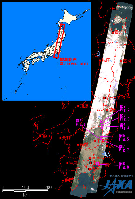 今回観測した画像全体