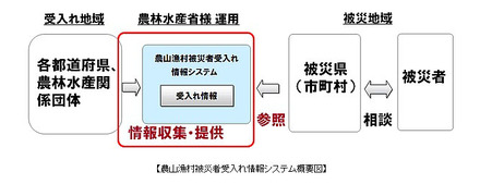 システム概要