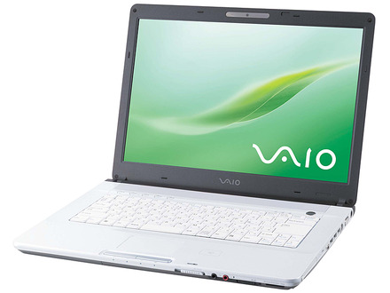 VAIO type F