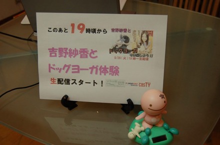 　TEPCOひかりコンテンツサイト“casTY”は、「吉野紗香とドッグヨーガを体験!!」と題して、吉野紗香さんと愛犬のレディちゃん（シーズー）がドッグヨーガを体験する模様を生配信した。