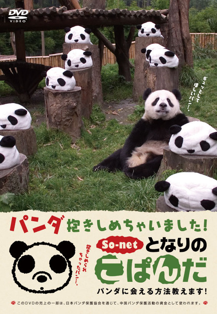 　子パンダの成長を見守るブログ「となりのこぱんだ」（So-net提供）に22日、弟パンダの「QQ（キューキュー）」が新しく登場した。