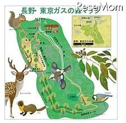 長野・東京ガスの森　マップ