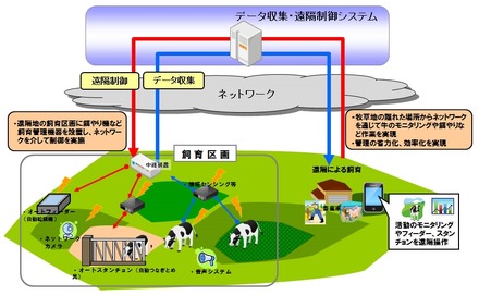 遠隔地からの放牧牛の飼育管理イメージ図