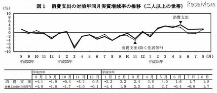 消費支出の対前年同月実質増減率の推移（2人以上の世帯）