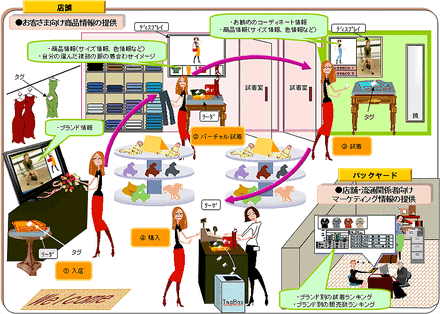 実験の概要図