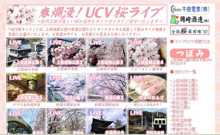 春爛漫！UCV桜ライブ