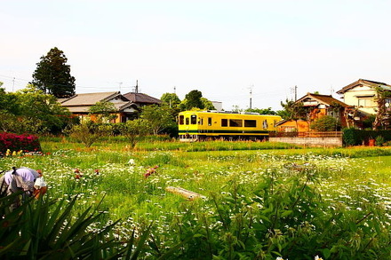 いすみ鉄道