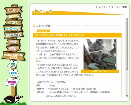 コアラの赤ちゃんに名前を付けよう（webサイト）