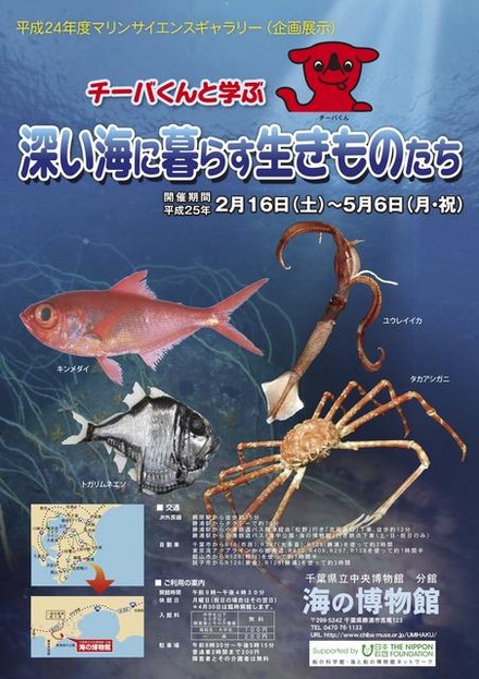 マリンサイエンスギャラリー「チーバくんと学ぶ 深い海に暮らす生きものたち」