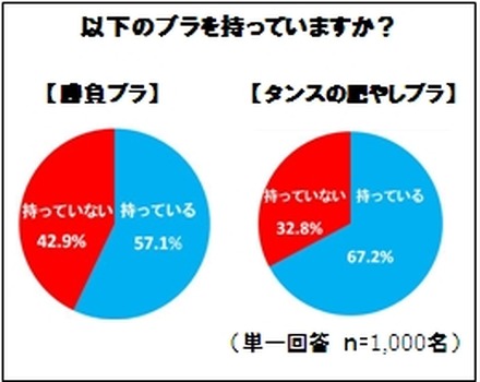 「勝負ブラ」と「タンスの肥やしブラ」の比較