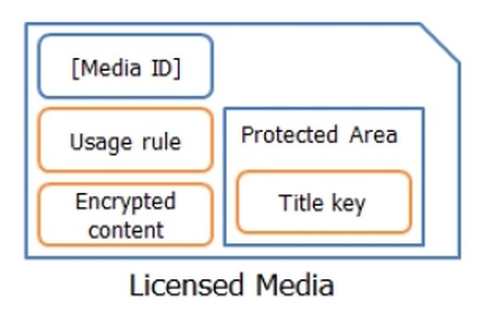 ライセンスドメディアの構造（NSM Initiatives資料より）