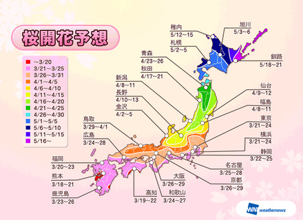 2013年の桜開花予想（全国）