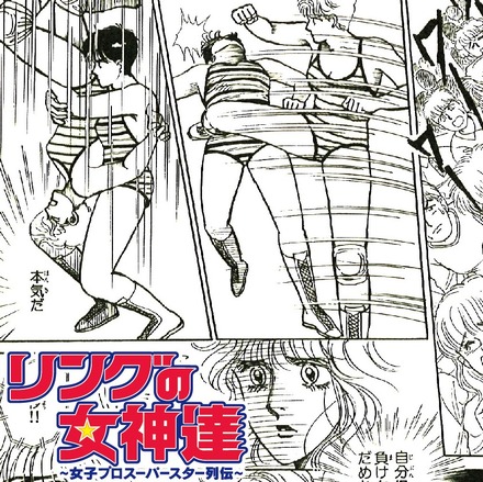「リングの女神達~女子プロスーパースター列伝~」ジャケット
