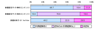 動画関連サイトの利用動向