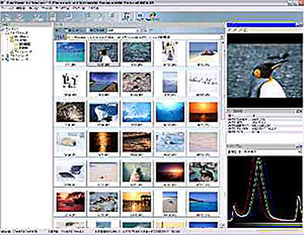 新潟キヤノテック、デジタルカメラ向け高速画像管理ソフトを発売