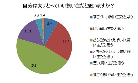 自分は犬にとっていい飼い主か