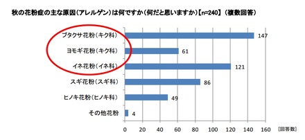 秋の花粉症の主な原因（アレルゲン）は何ですか