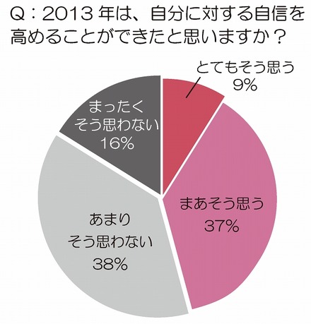 2013年は、自分に対する自信を高めることができたと思いますか？