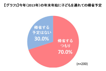 今年(2013年)の年末年始に子供を連れての帰省予定