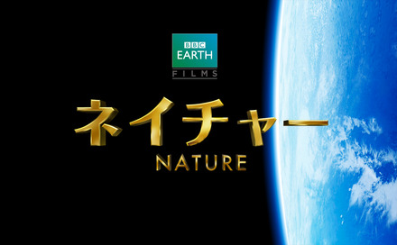 『ネイチャー』　(C)BBC Earth Productions (Africa) Limited and Reliance Prodco EK LLC 2014