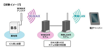 実験イメージ