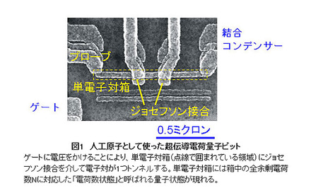 人工原子として使った超伝導電荷量子ビット