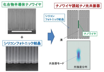 ナノワイヤ誘起光ナノ共振器 