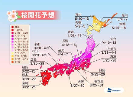 桜開花予想