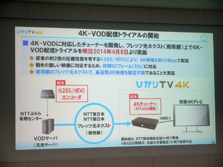 4KのVODを配信開始