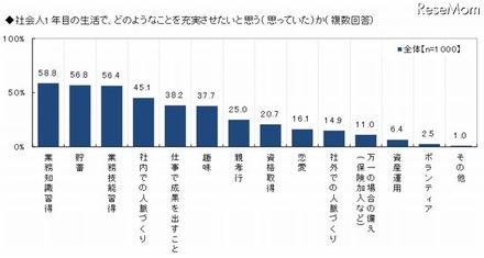 社会人1年目で充実させたいと思う（思っていた）こと