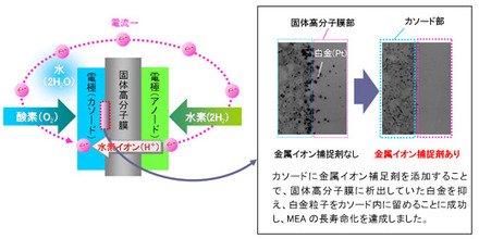 MEA構造イメージ図