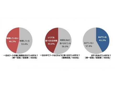 猫に関する意識調査