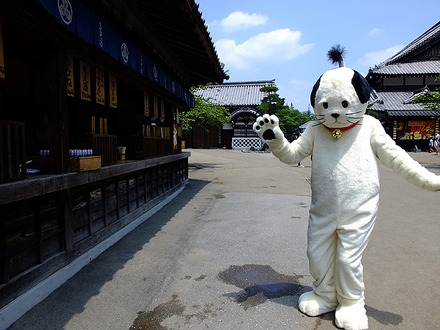 猫と同じ、面倒くさそうにポーズ