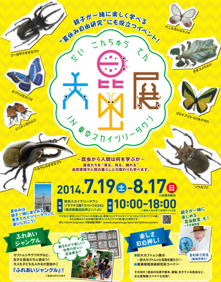 大昆虫展 in 東京スカイツリータウン（パンフレット）