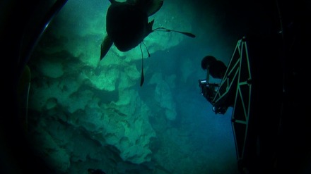 『ザ・プレミアム「深海のロストワールド　追跡！謎の古代魚」』：番組内シーン