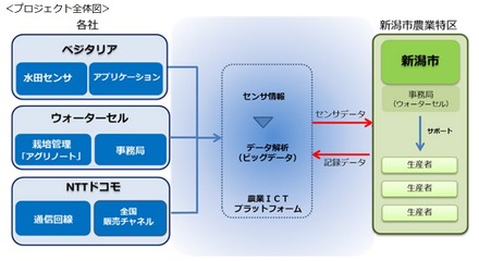 プロジェクト全体図