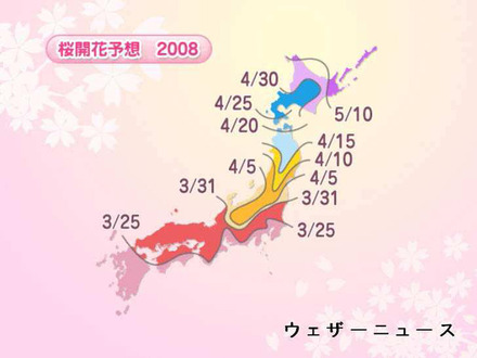 桜開花予想マップ