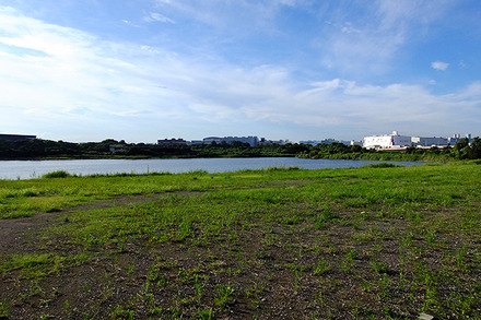 城南島から東京港野鳥公園を眺める。羽田アクセス新線はこの付近の地下に設置される計画だ