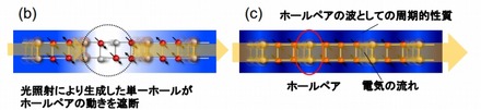 (b)光で生成した絶縁体状態および(c)金属状態におけるホールペアの流れ