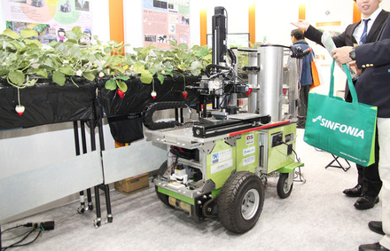 宇都宮大学が開発したイチゴの収穫ロボット